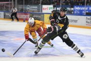 FRIBOURG - TIGERS