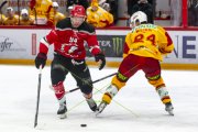 LAUSANNE - TIGERS