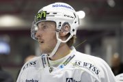 GCK LIONS - OLTEN
