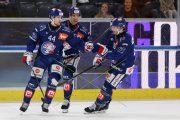 ZSC - TIGERS