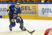 FRIBOURG - TIGERS