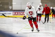 TRAINING SCHWEIZ