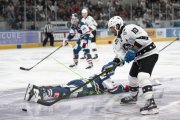 FIALA ALLSTARS - ZSC