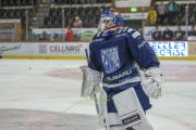 TIGERS - ZSC