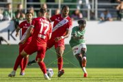 ST. GALLEN - SION
