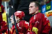 TIGERS - ZSC