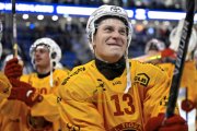 AMBRI - TIGERS
