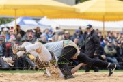 BASELSTAEDTISCHER SCHWINGERTAG