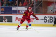 TIGERS - LAUSANNE