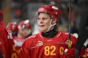 TIGERS - ZSC