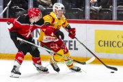 LAUSANNE - TIGERS