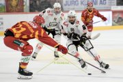 TIGERS - LUGANO