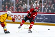 LAUSANNE - TIGERS