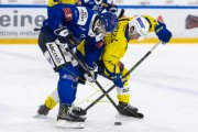 HCC - AROSA