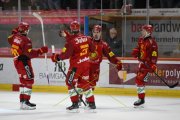 TIGERS - FRIBOURG