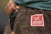ESAF 2025