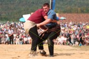 118. NORDWESTSCHWEIZER SCHWINGFEST