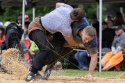 BASELSTAEDTISCHER SCHWINGERTAG