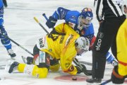 ZSC - BERN