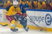 FRIBOURG - TIGERS