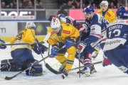 ZSC - DAVOS