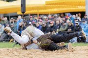 BASELSTAEDTISCHER SCHWINGERTAG