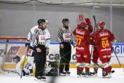 AMBRI - TIGERS