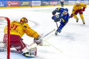 FRIBOURG - TIGERS