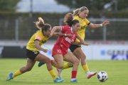 RAPPERSWIL - YB