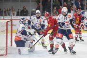 TIGERS - ZSC