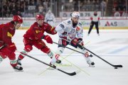 TIGERS - ZSC