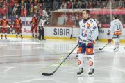 TIGERS - ZSC