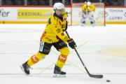 LAUSANNE - SC BERN