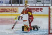 TIGERS - ZSC