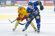 FRIBOURG - TIGERS