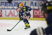 AMBRI - TIGERS