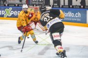 LUGANO - TIGERS