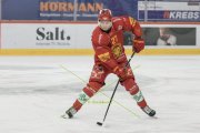 TIGERS - FRIBOURG