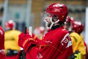 TRAINING LANGNAU