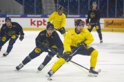 TRAINING SCHWEDEN