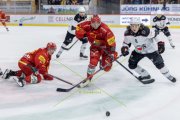 TIGERS - LAUSANNE