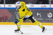 HCC - AROSA
