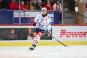 TIGERS - ZSC