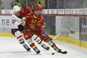 TIGERS - LAUSANNE