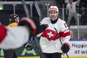 DEUTSCHLAND - SCHWEIZ