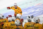BERN - TIGERS