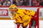 LAUSANNE - TIGERS