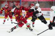 TIGERS - LAUSANNE