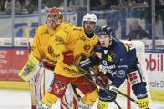 AMBRI - TIGERS