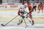 TIGERS - AMBRI